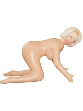 Picture of the product