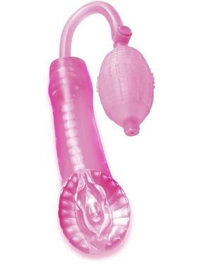 Picture of the product