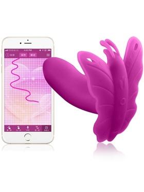 Picture of the product