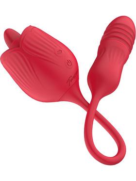 Picture of the product