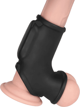 Picture of the product