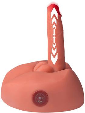 Picture of the product