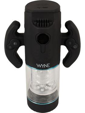 Picture of the product