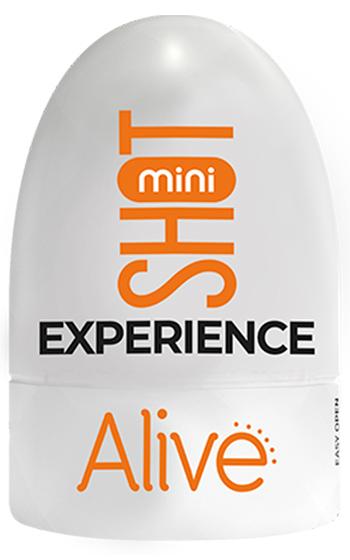 Picture of the product