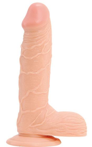 Picture of the product