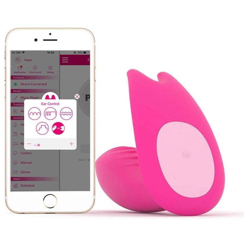 Picture of the product