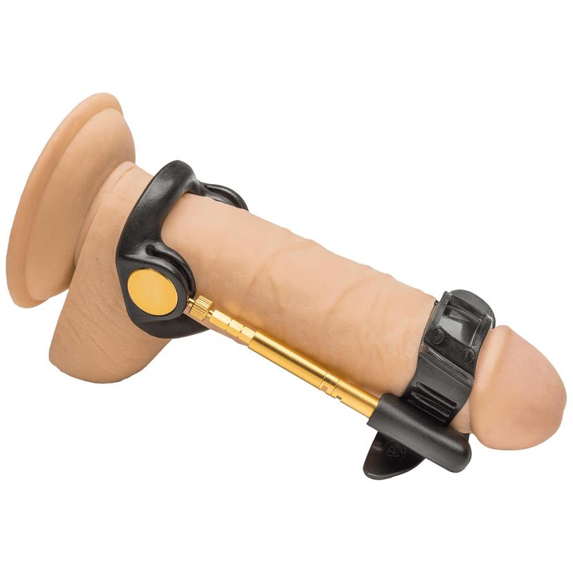 Picture of the product