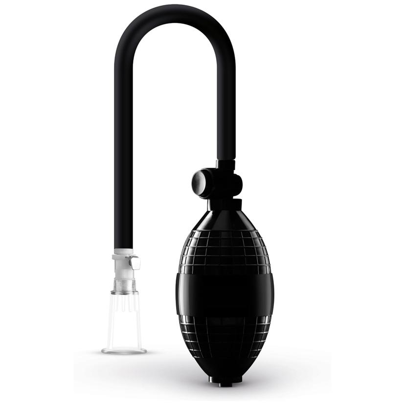 Picture of the product