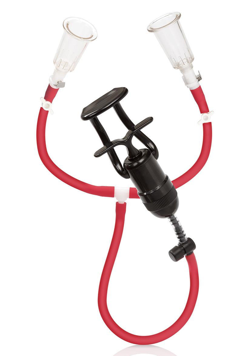 Picture of the product
