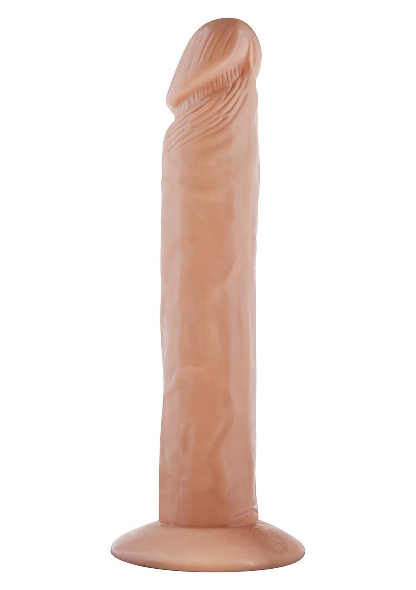 Picture of the product