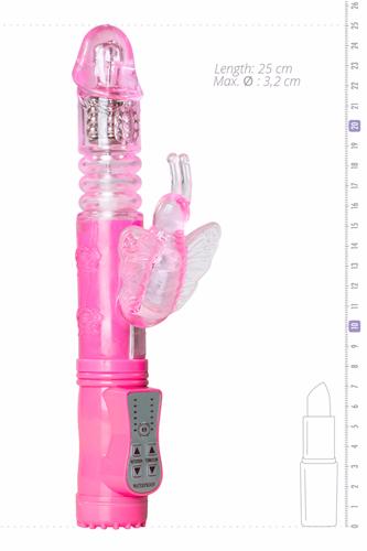 Picture of the product