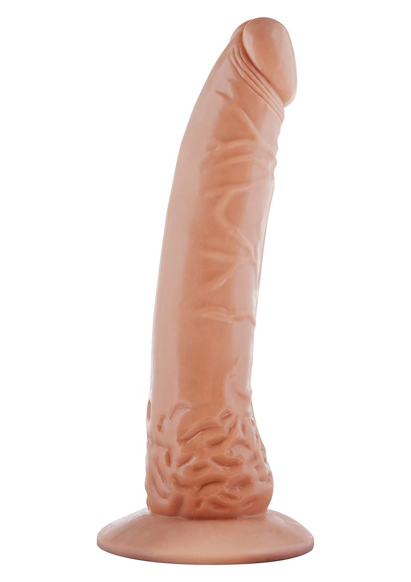 Picture of the product