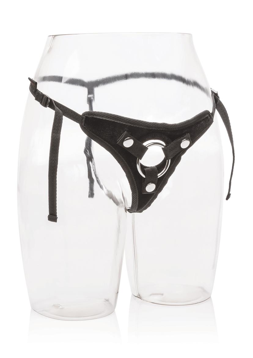 Picture of the product
