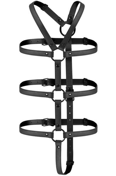 Picture of the product