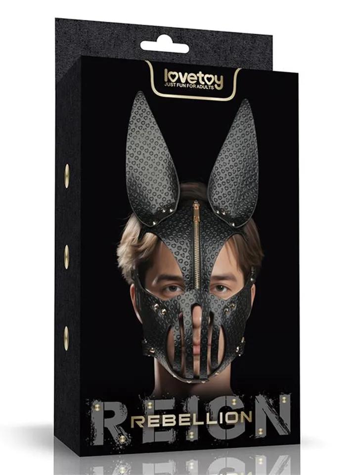 Picture of the product