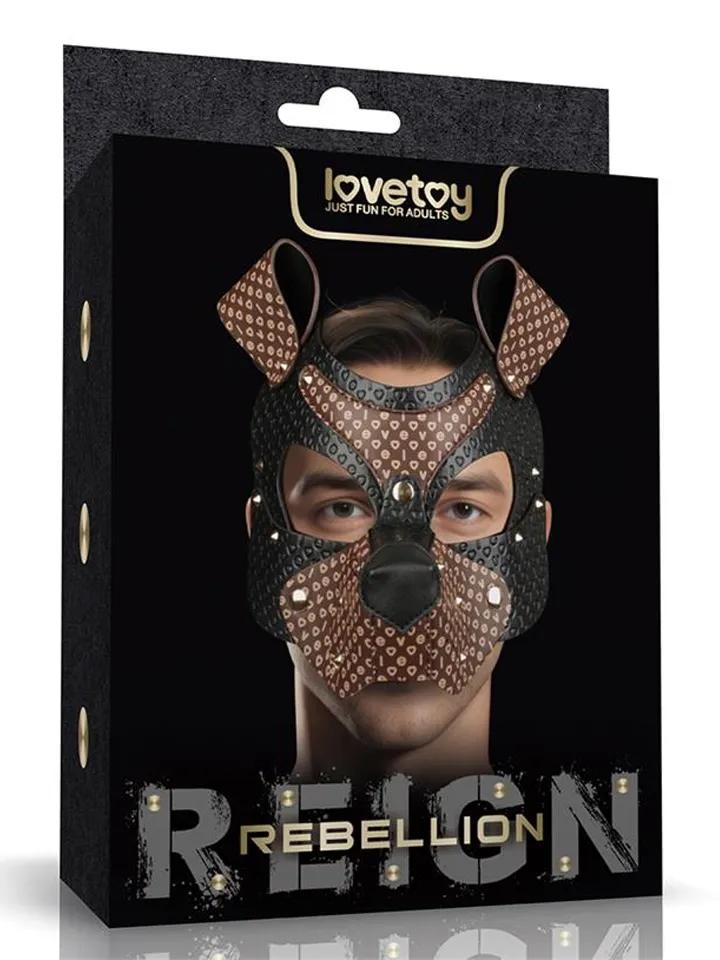 Picture of the product
