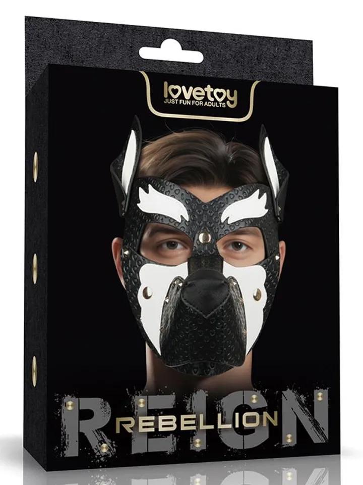Picture of the product