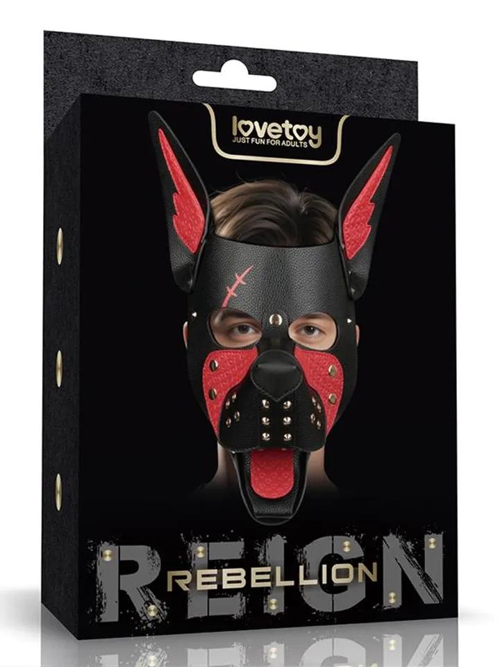 Picture of the product