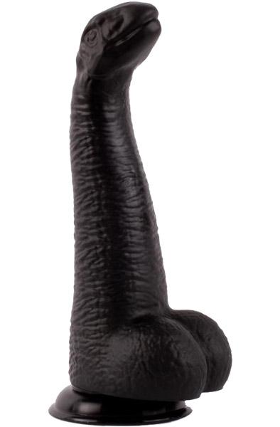 Picture of the product