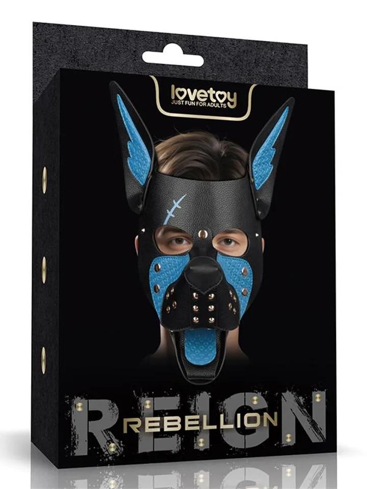 Picture of the product