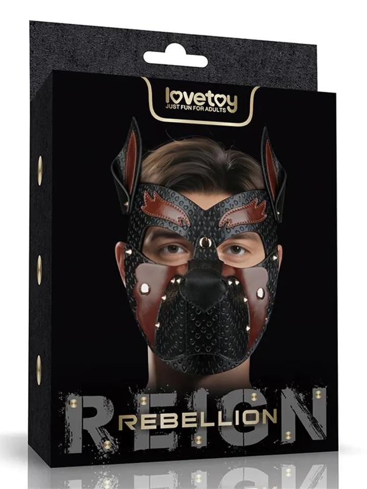 Picture of the product