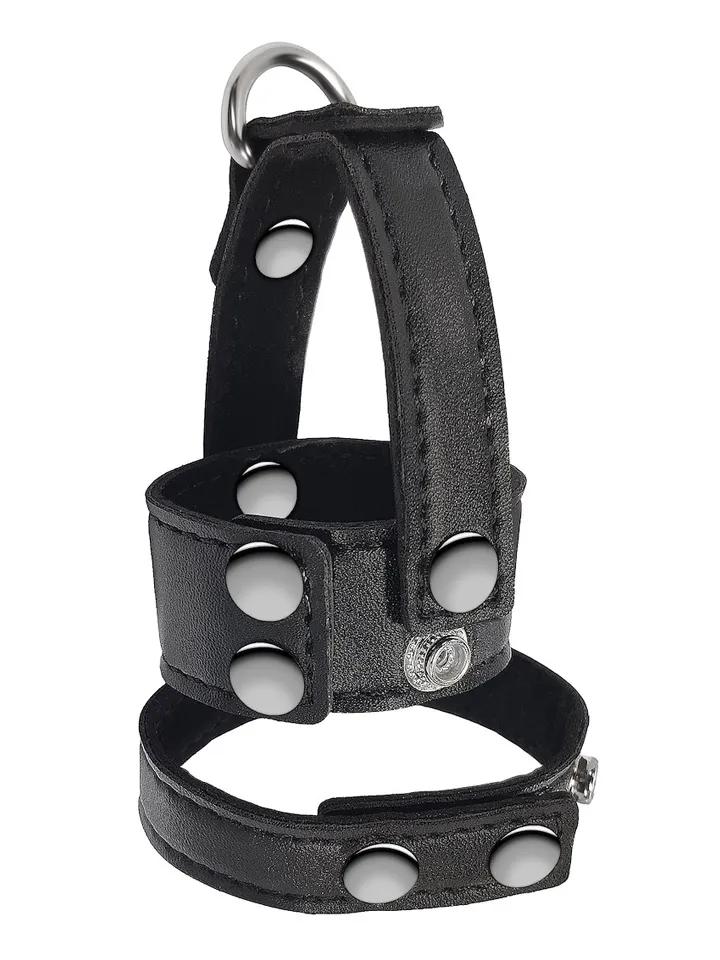 Picture of the product