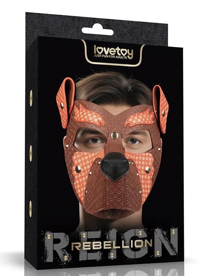 Picture of the product